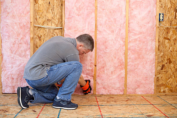 Best Batt and Roll Insulation  in Brandon, FL